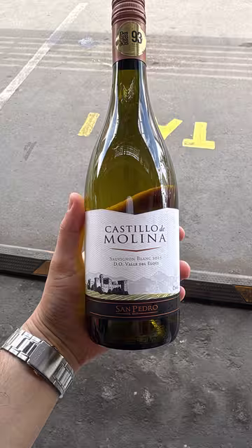 a vino in Iquique · Chile, a 13