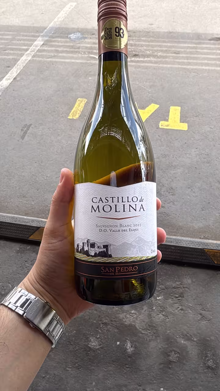 a vino in Iquique · Chile, a 13
